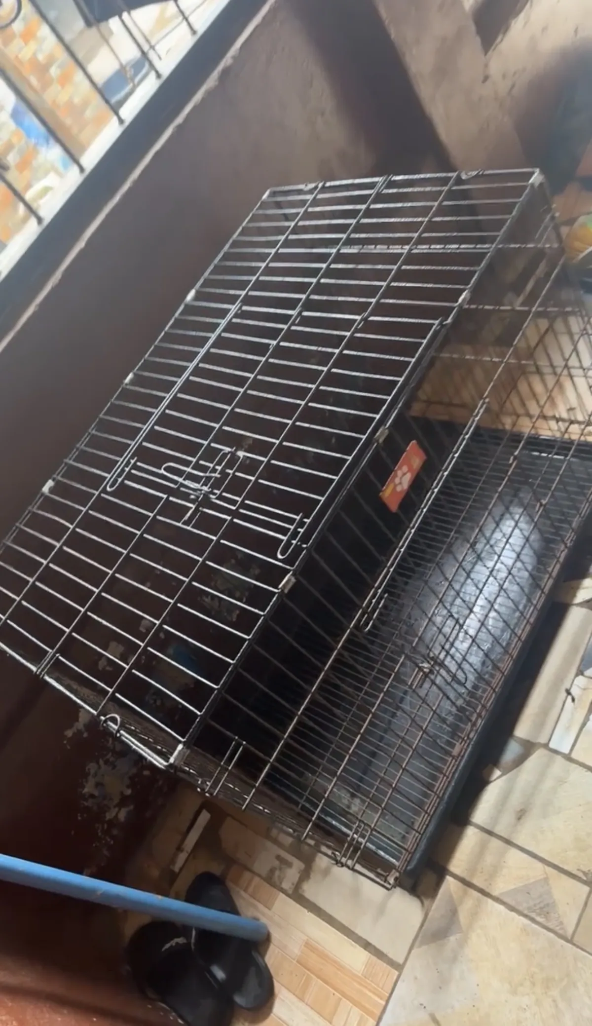 collapsible Dog Cage for Sale - Image 1