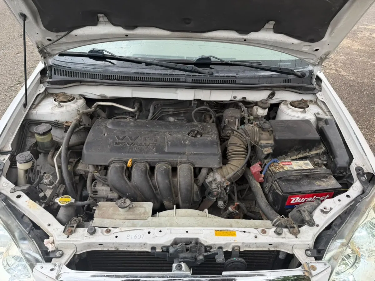 2004 Toyota Corolla Sport - Image 8