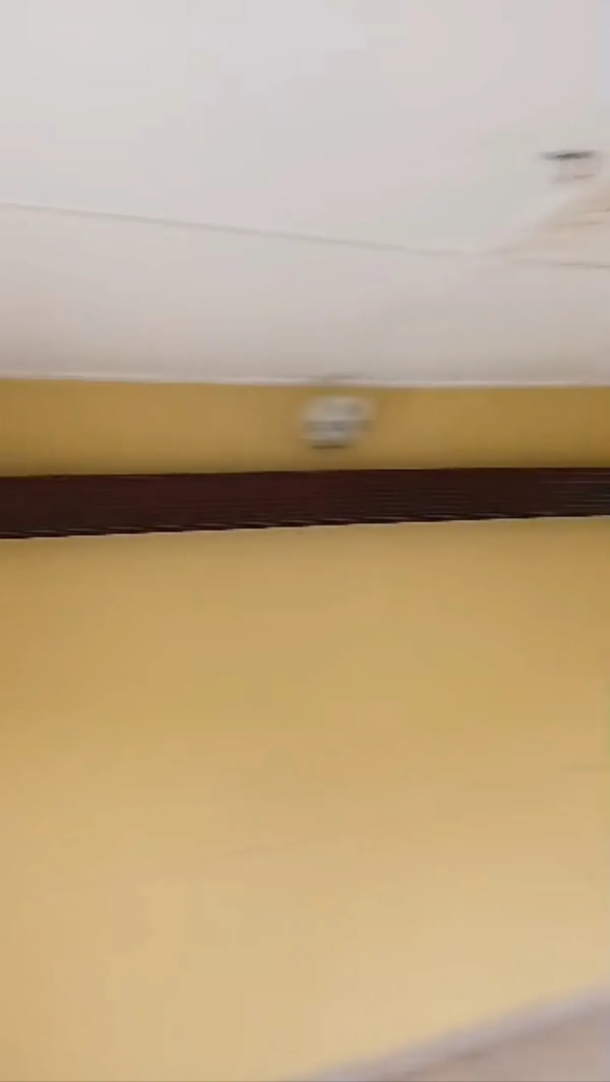 Big two bedroom available for rent - Image 1