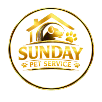 Sunday ola
