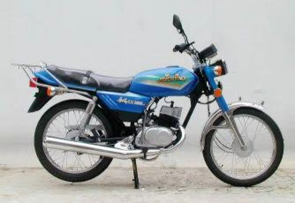 Suzuki Ax100 - Image 2