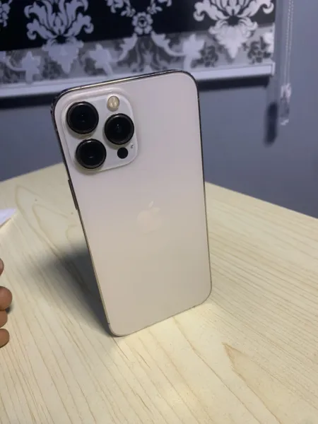 iPhone 13 Pro Max (locked WiFi only)