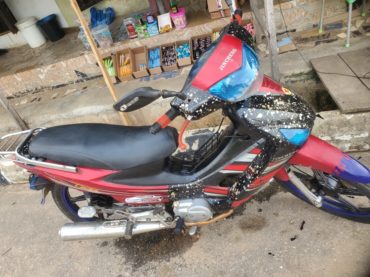 JINCHENG LUCKY LADY'S BIKE - Image 4