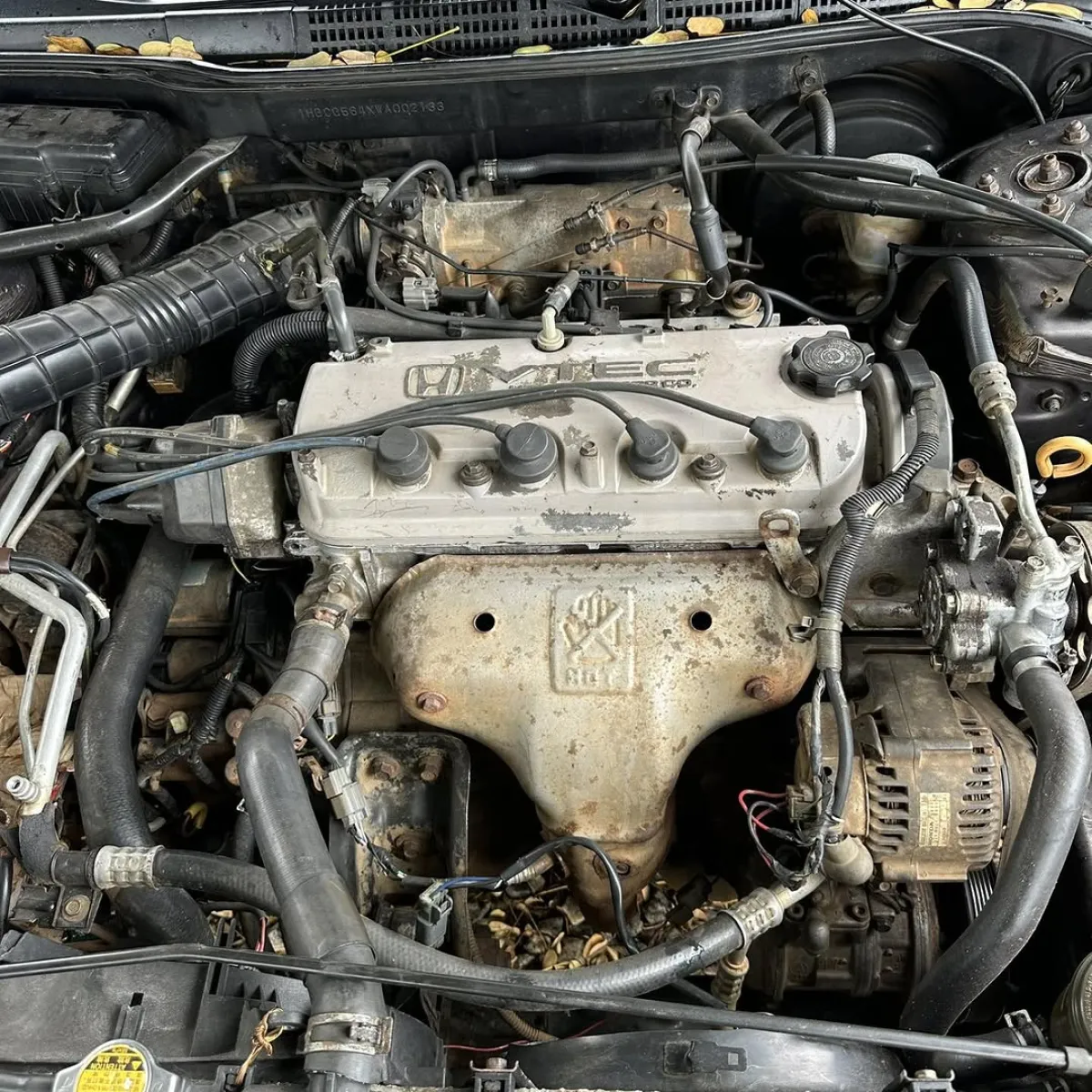 Honda Accord - Image 6