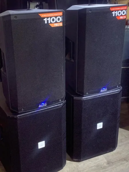 alto speaker