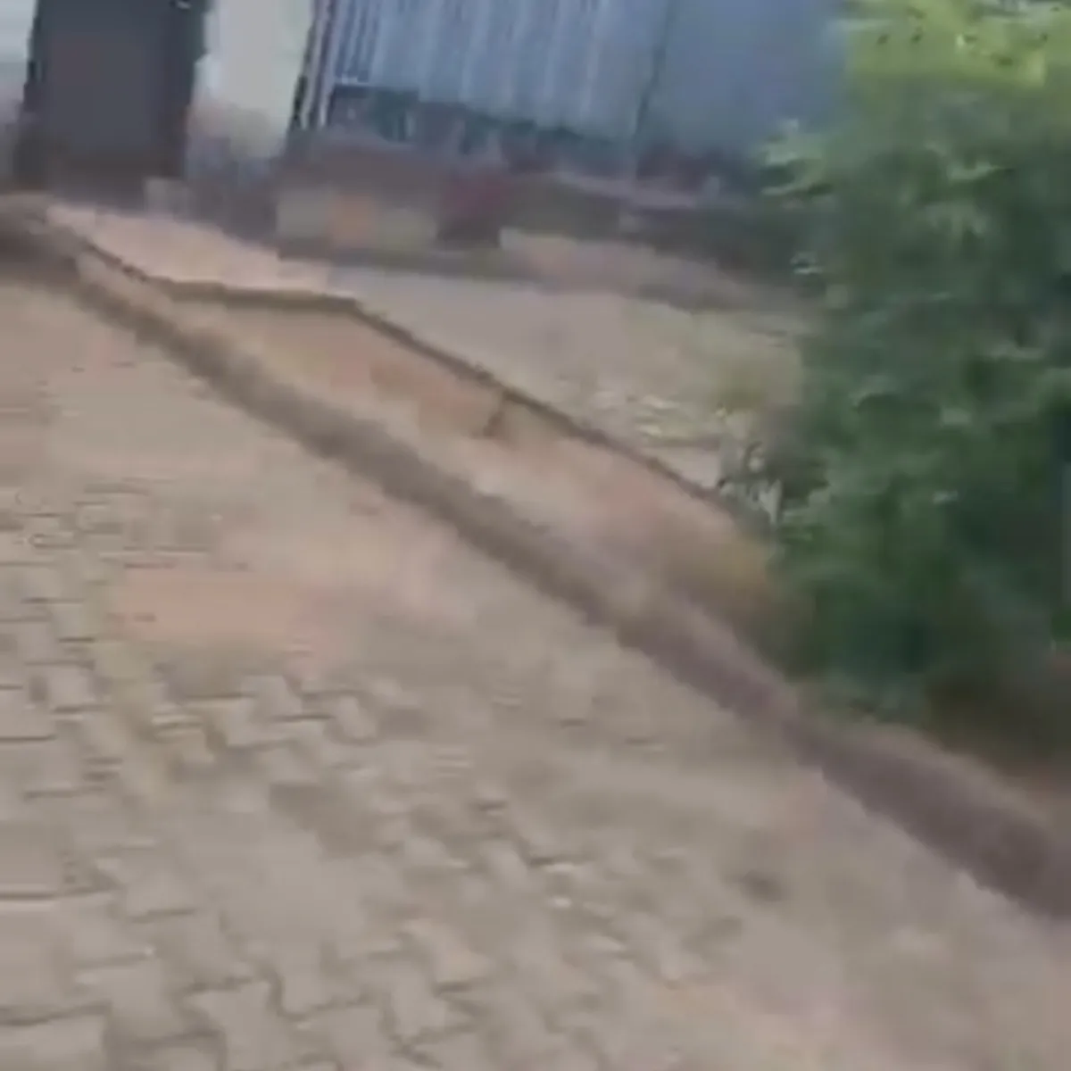 COMMERCIAL BUILDING FOR SALE - 15bn (Asokoro) - Image 3