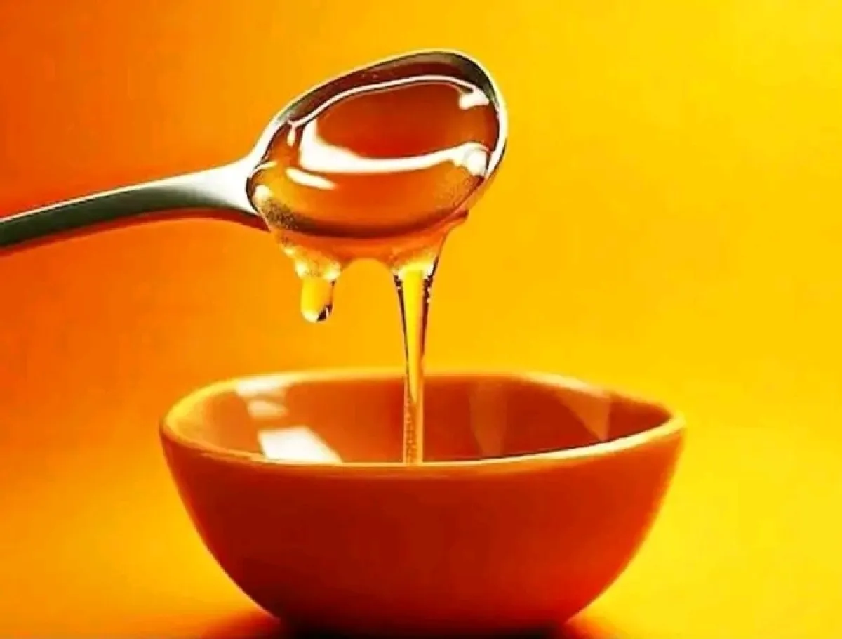 ORGANIC HONEY - Image 3