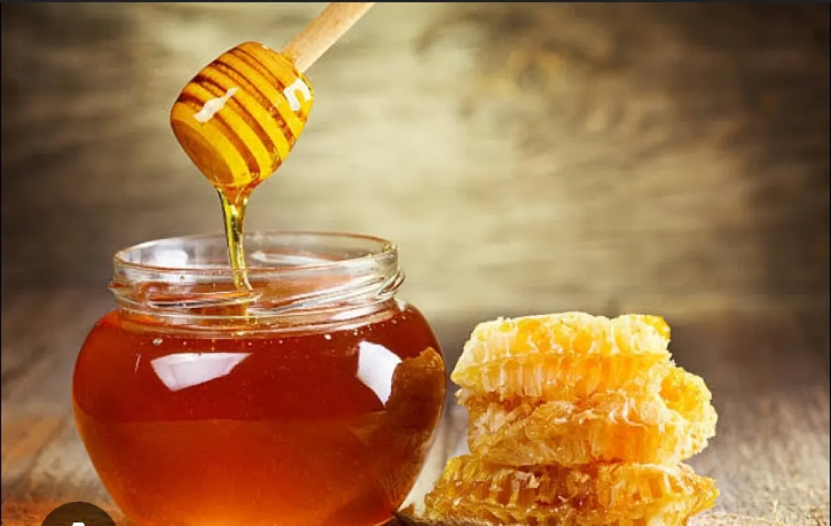 ORGANIC HONEY - Image 4