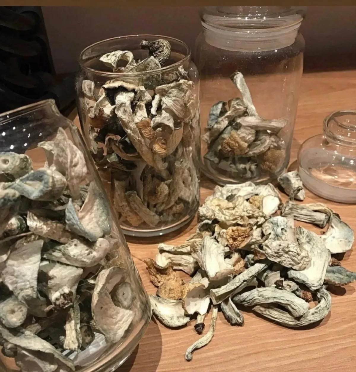 MAGIC MUSHROOM - Image 3