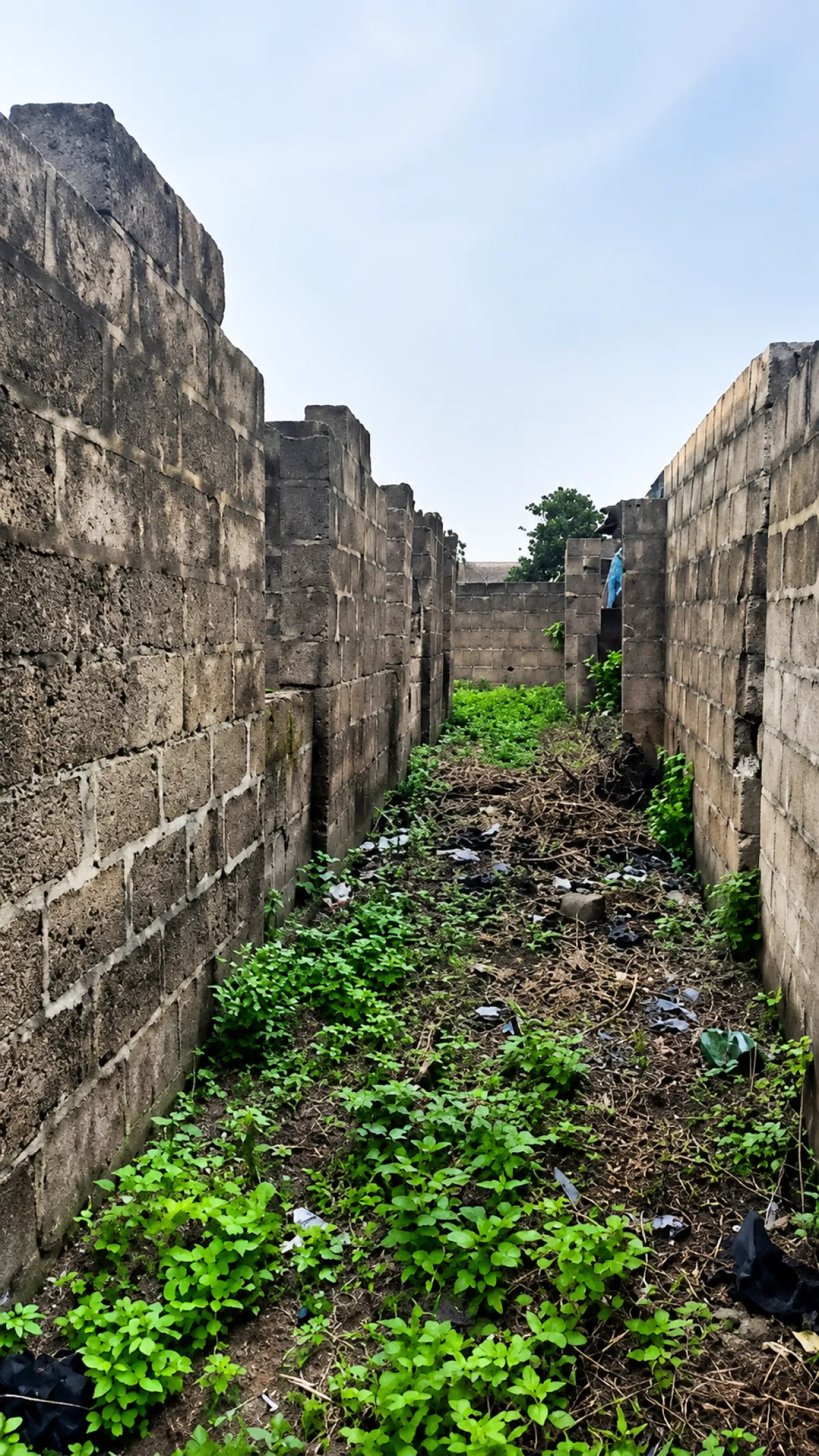 A full plot property - Image 3