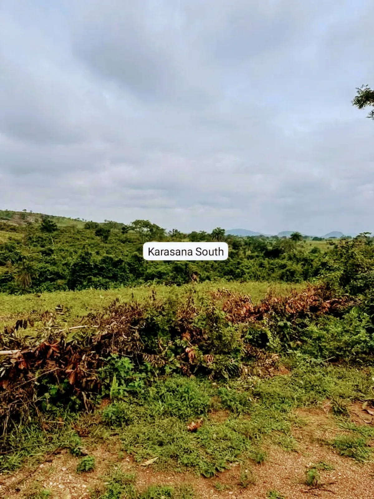LAND FOR SALE (100Hct)Karsana - Image 2