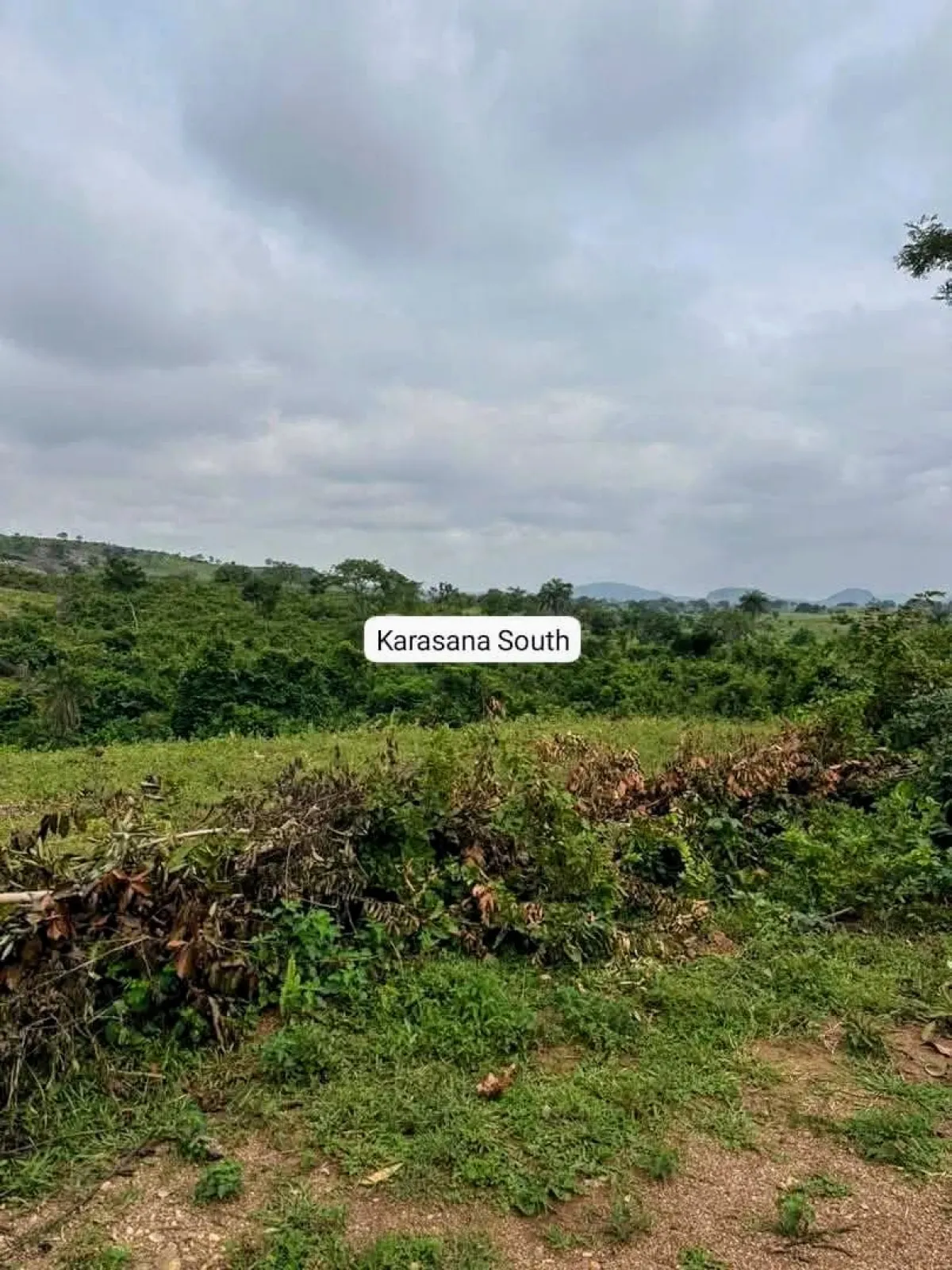 LAND FOR SALE (100Hct)Karsana - Image 3