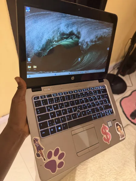 HP EliteBook 820 G3 Touchscreen Ultrabook Core i5, 8GB RAM, 256GB SSD