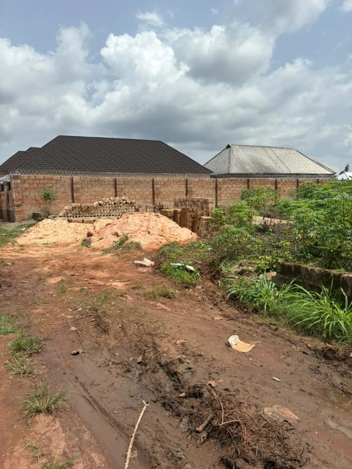 ogbele sale - Image 3