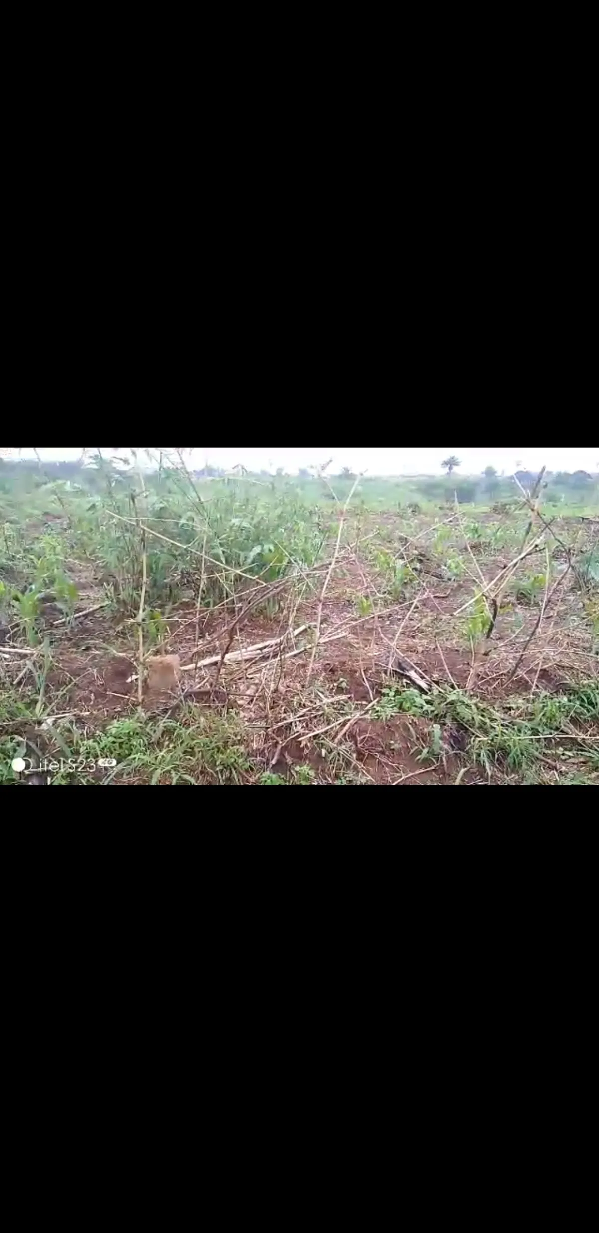 very close to the Auchi express road - Image 2