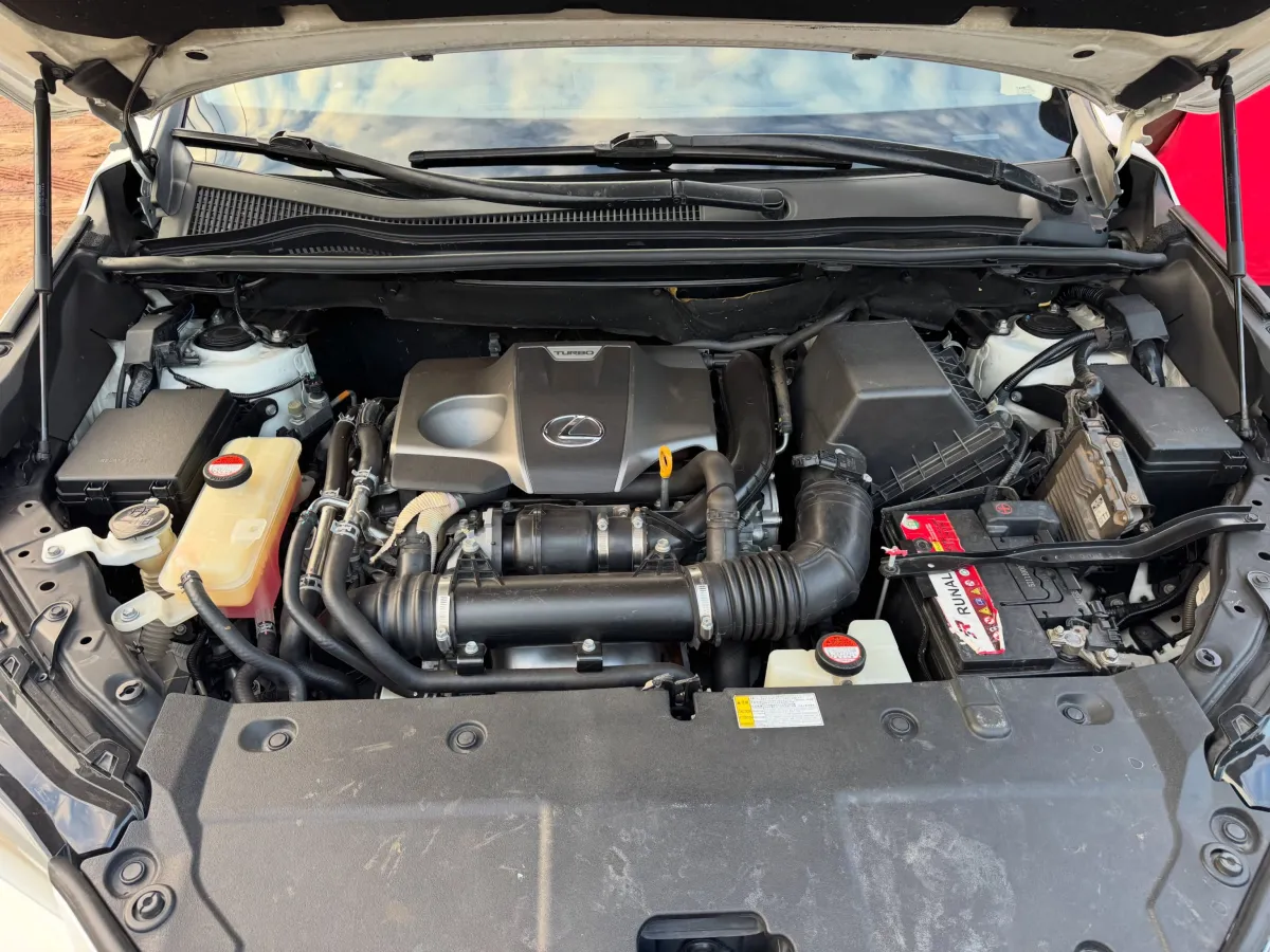 Lexus Rx350 2020 - Image 7