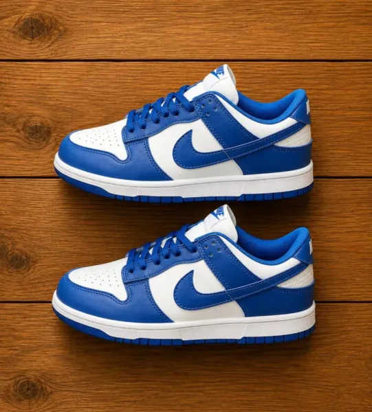 Nike Dunk Sneakers