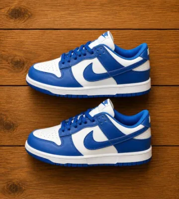 Nike Dunk Sneakers