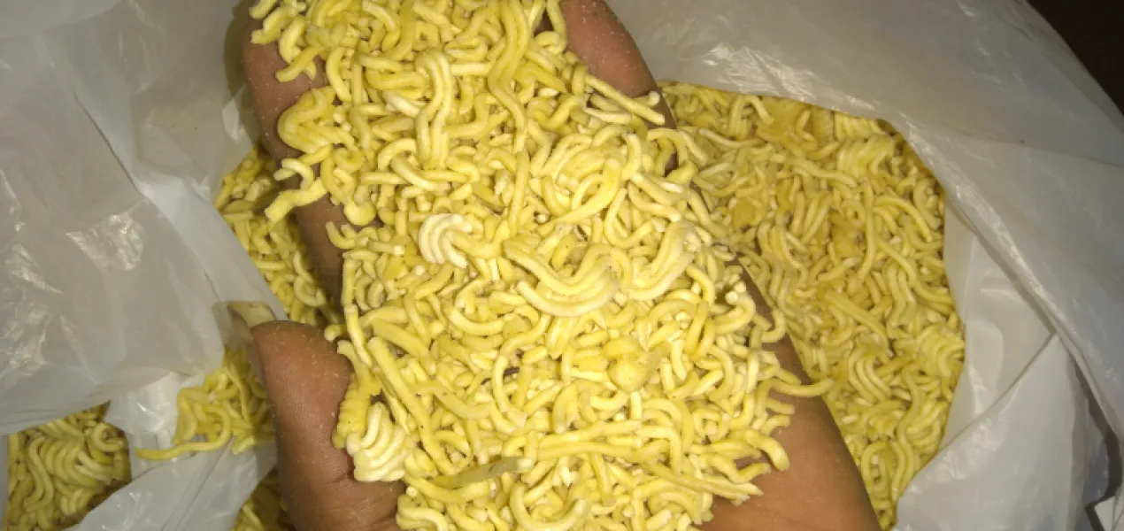 Dog and fish noodles