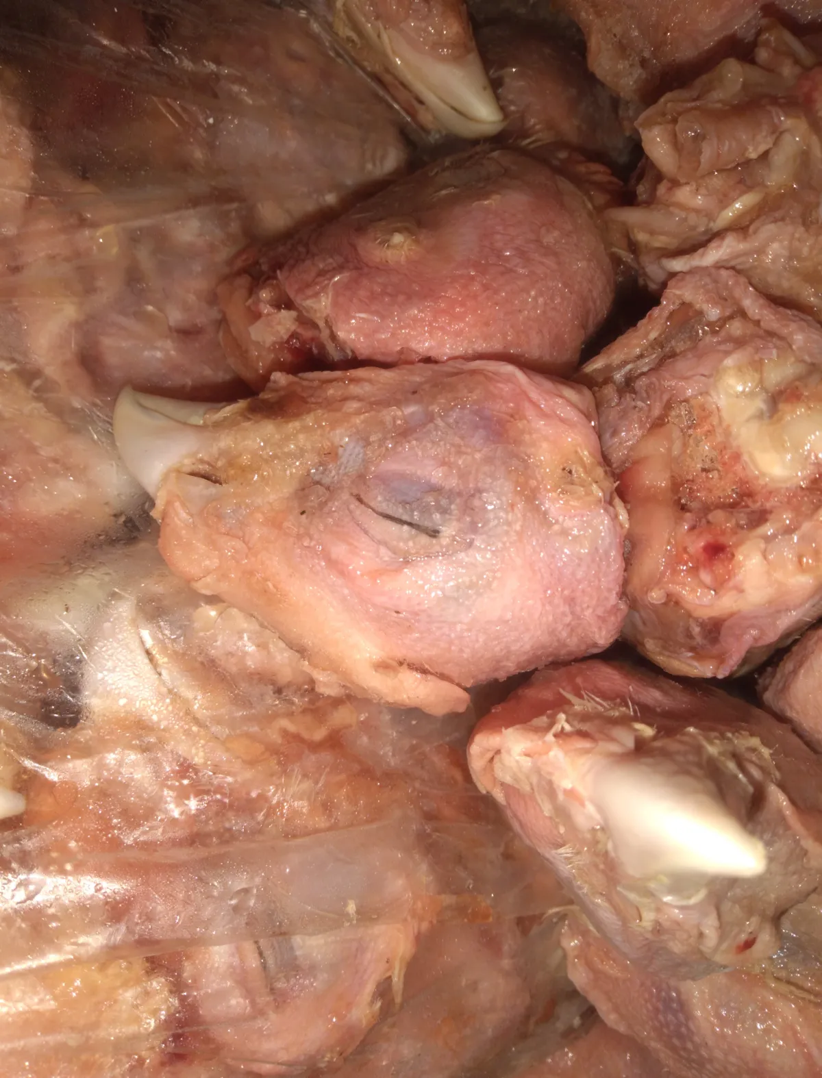 Chicken head for dogs - Image 1