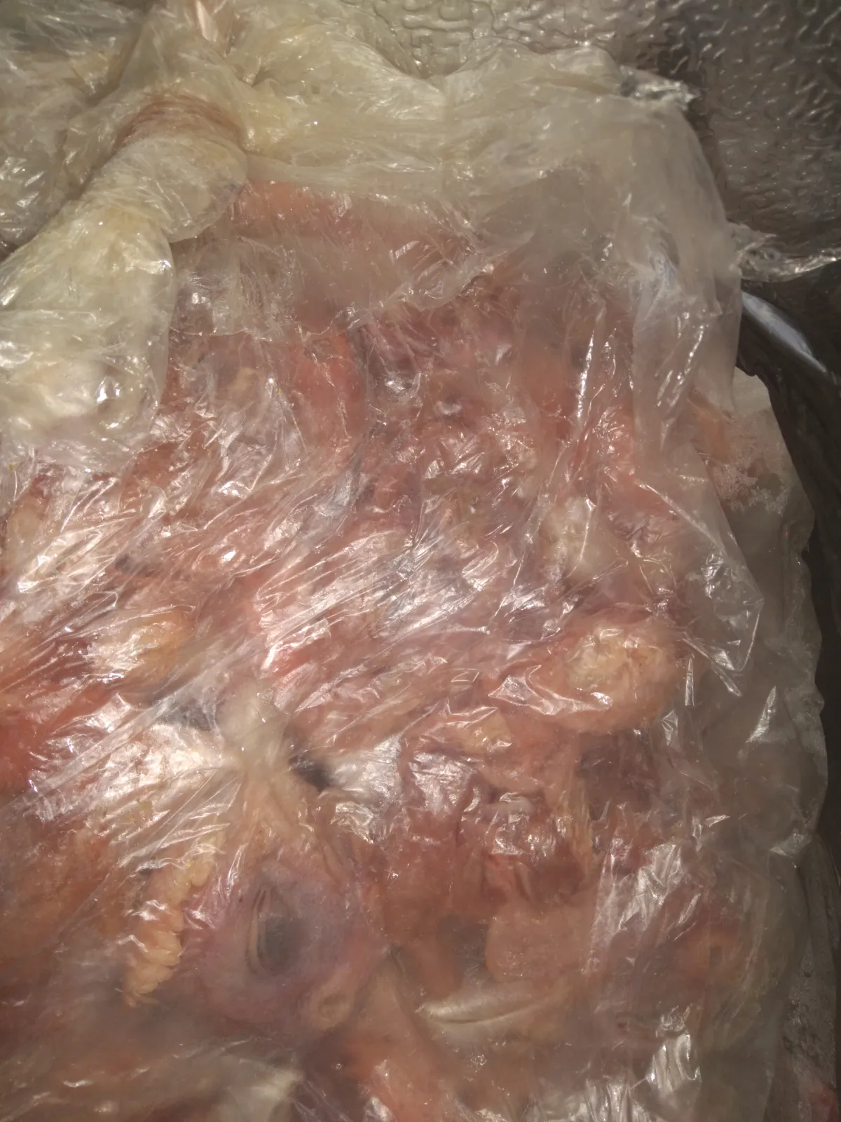 Chicken head for dogs - Image 3