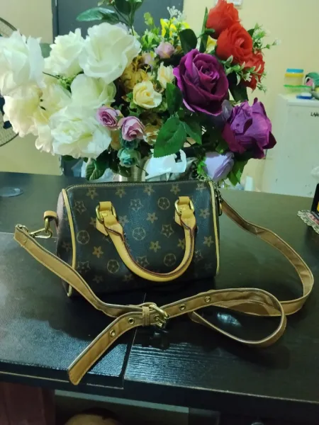 A Luis Vinton nano speedy bag replica