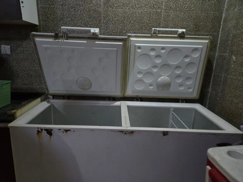 Heir thermocool freezer double door
