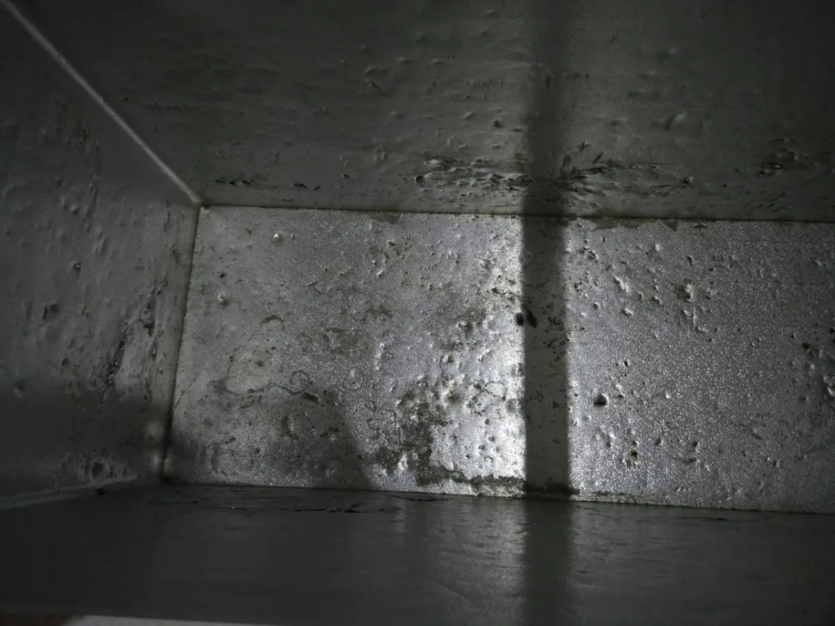 Heir thermocool freezer double door - Image 3