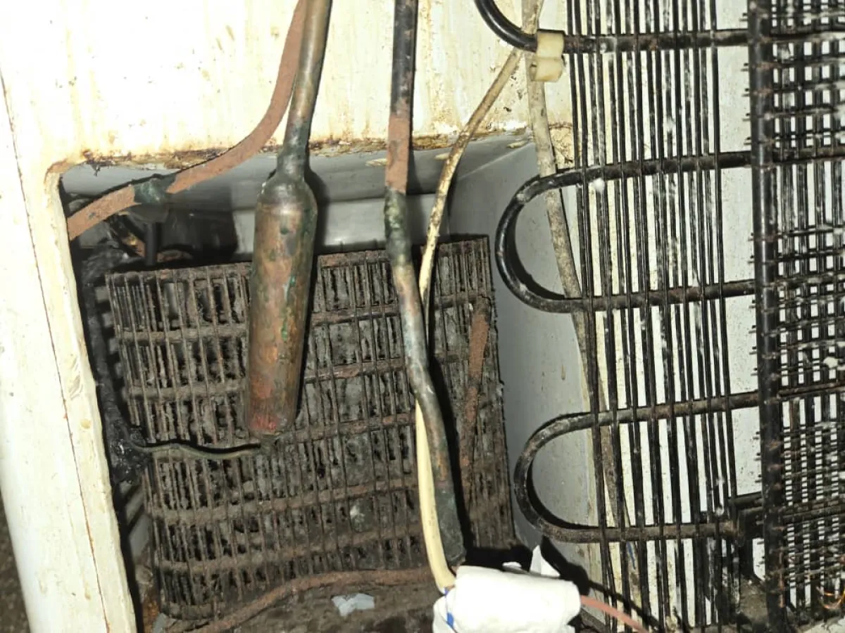 Heir thermocool freezer double door - Image 4