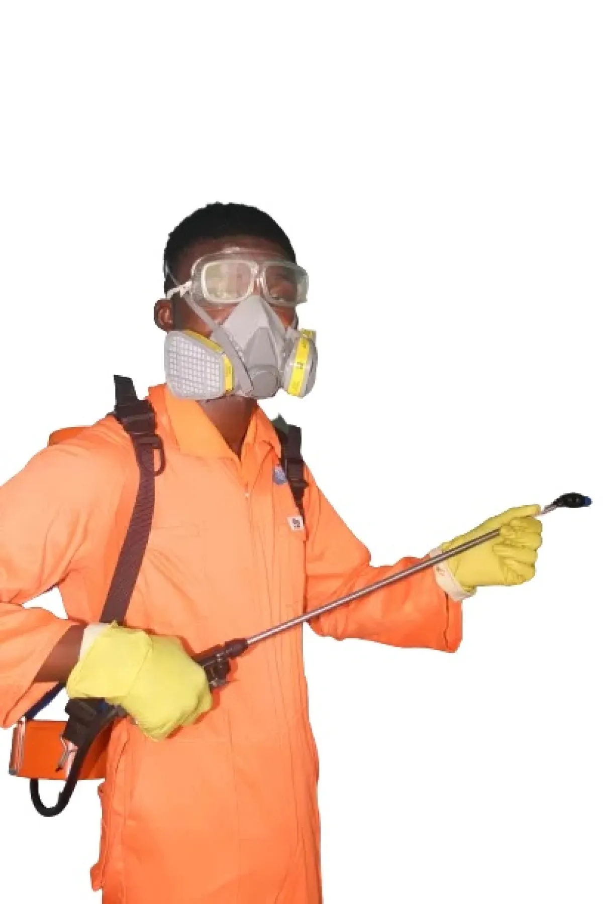 Fumigation service - Image 5