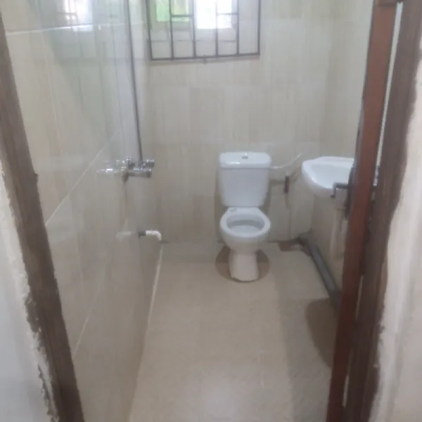 Professional deep cleaning services
