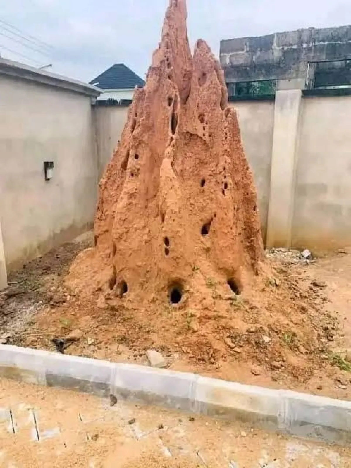 Fumigation Services - Image 5