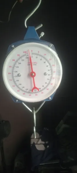 Hanging Scale