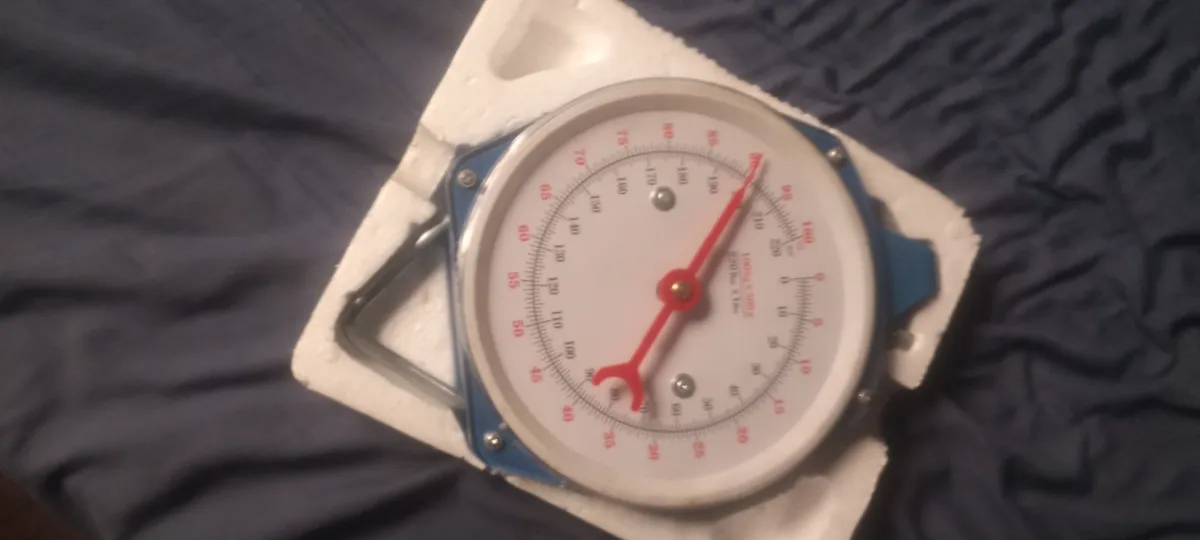 Hanging Scale - Image 2