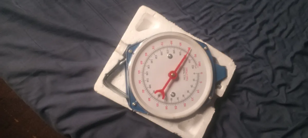 Hanging Scale - Image 3