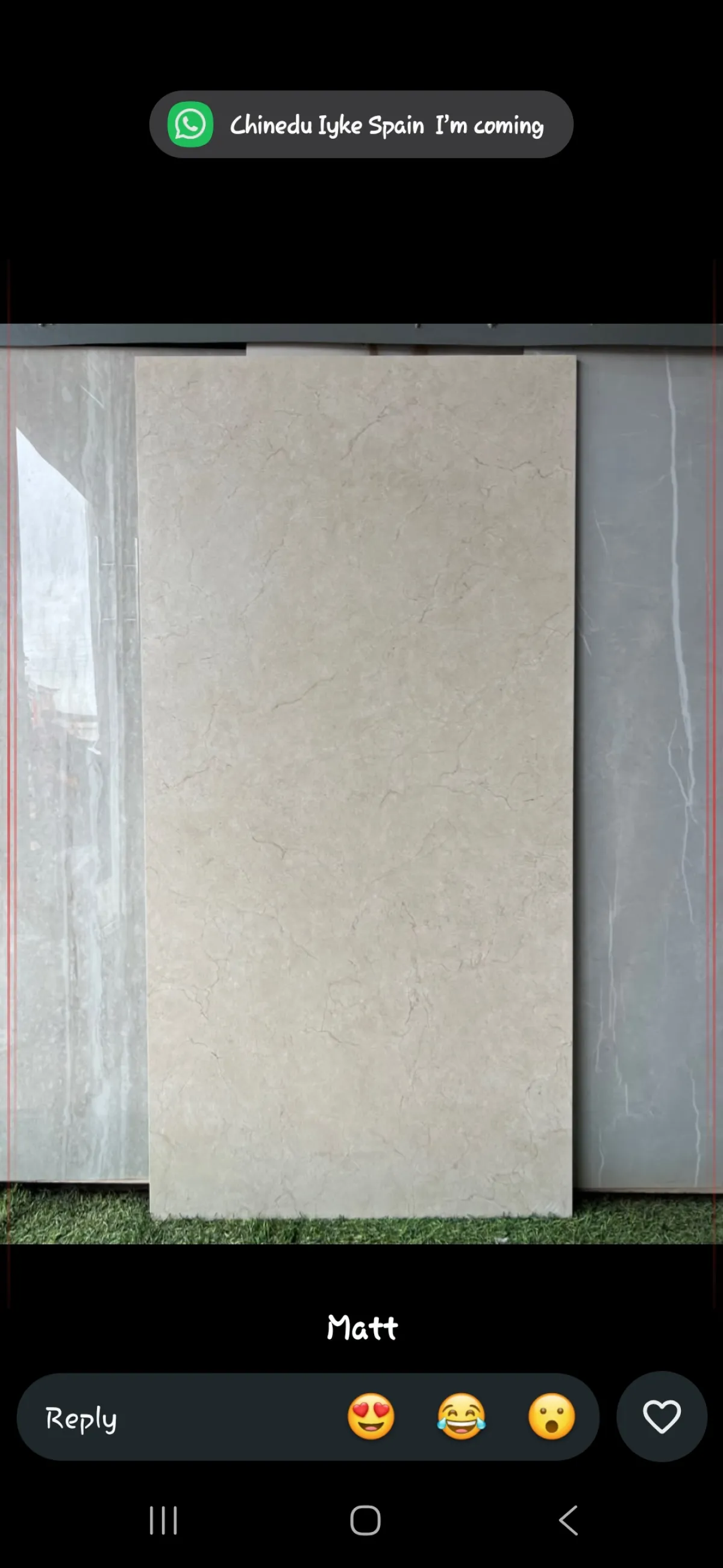 Spanish tiles - Image 6
