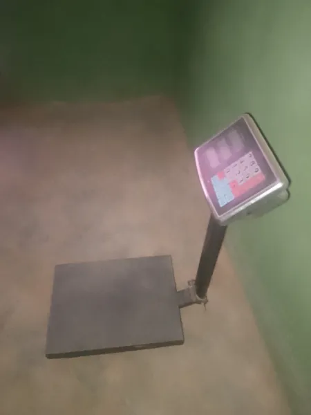 My 100kg scale Forsale