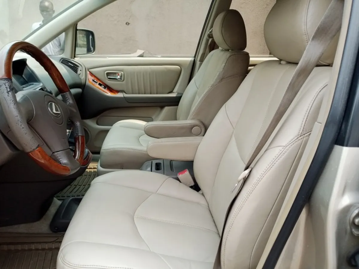 Neatly Lexus RX 300 2003 - Image 6