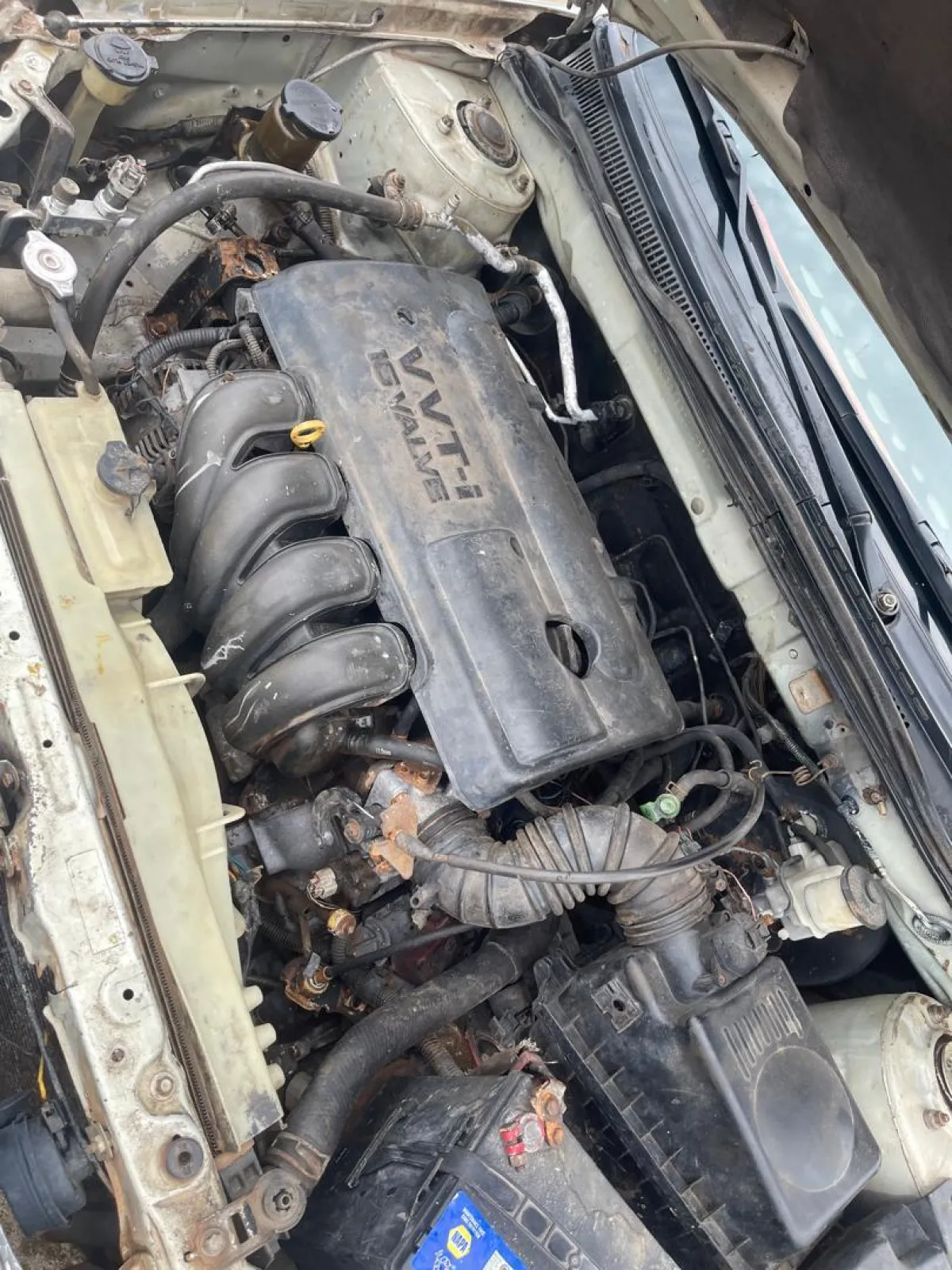 Toyota Corolla - Image 8