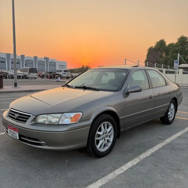 Toyota Camry Pencil light.