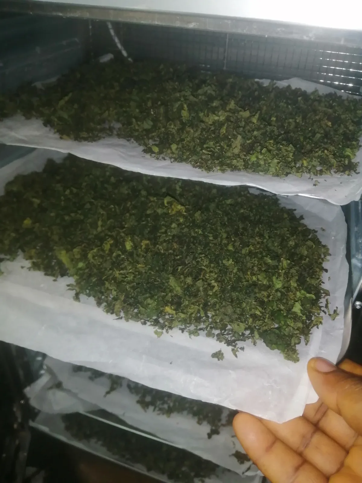 Dehydrated Ugu - Image 2