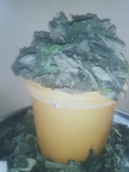 Dehydrated OHA leaves