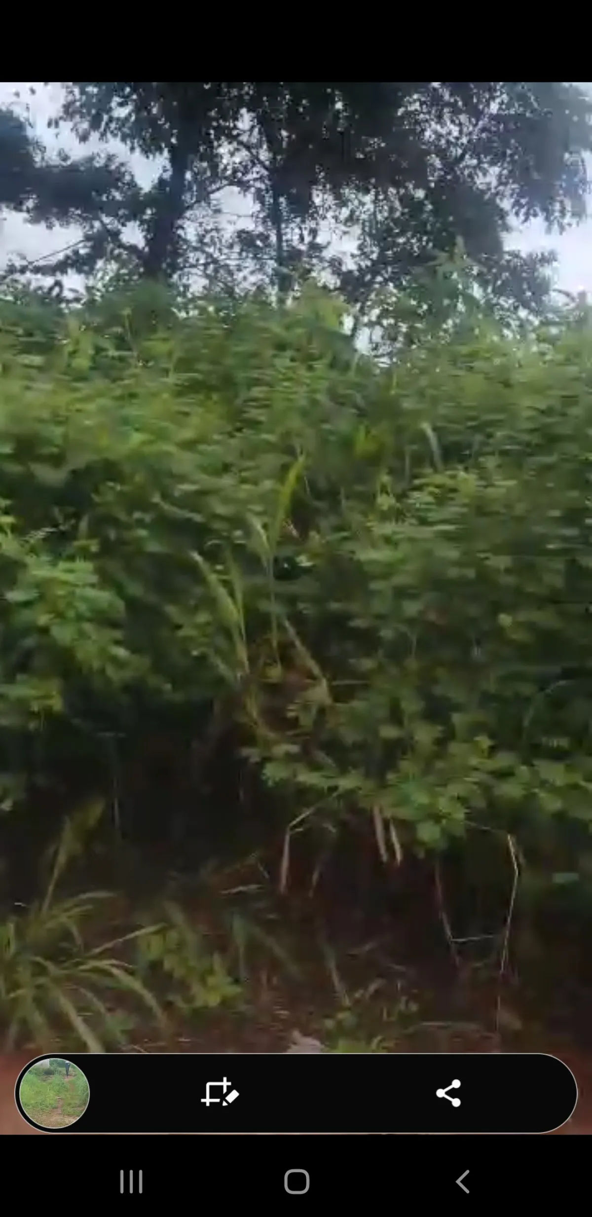 100 by 100 for sale at ayen community, very close to the express egba road - Image 3