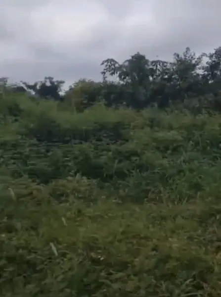 50/100 in Ohegie community along Egba road, Benin auchi express way