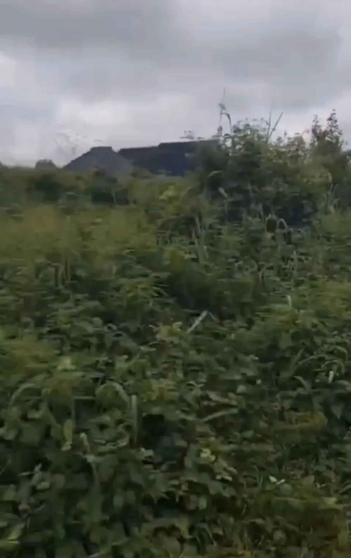 50/100 in Ohegie community along Egba road, Benin auchi express way - Image 2