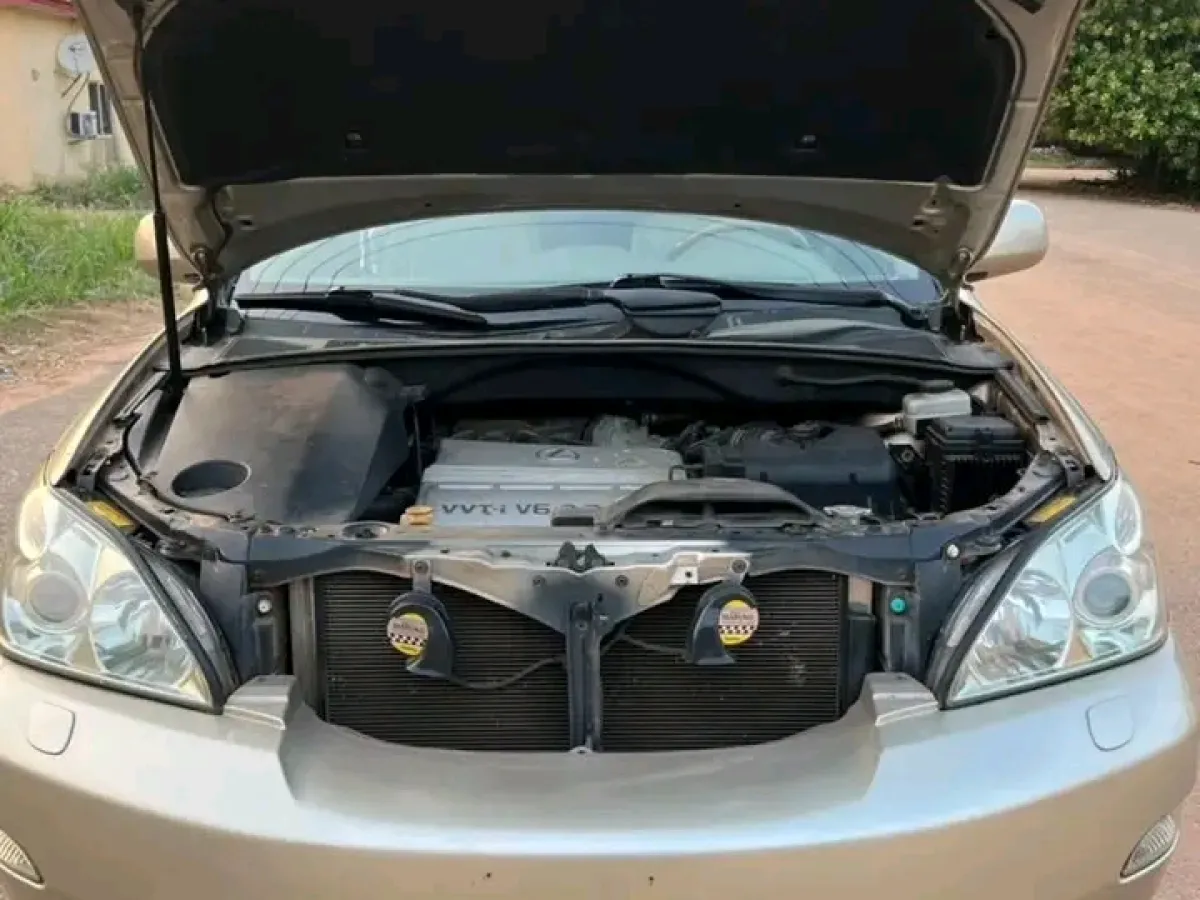 Golden Lexus Rx For sale - Image 4