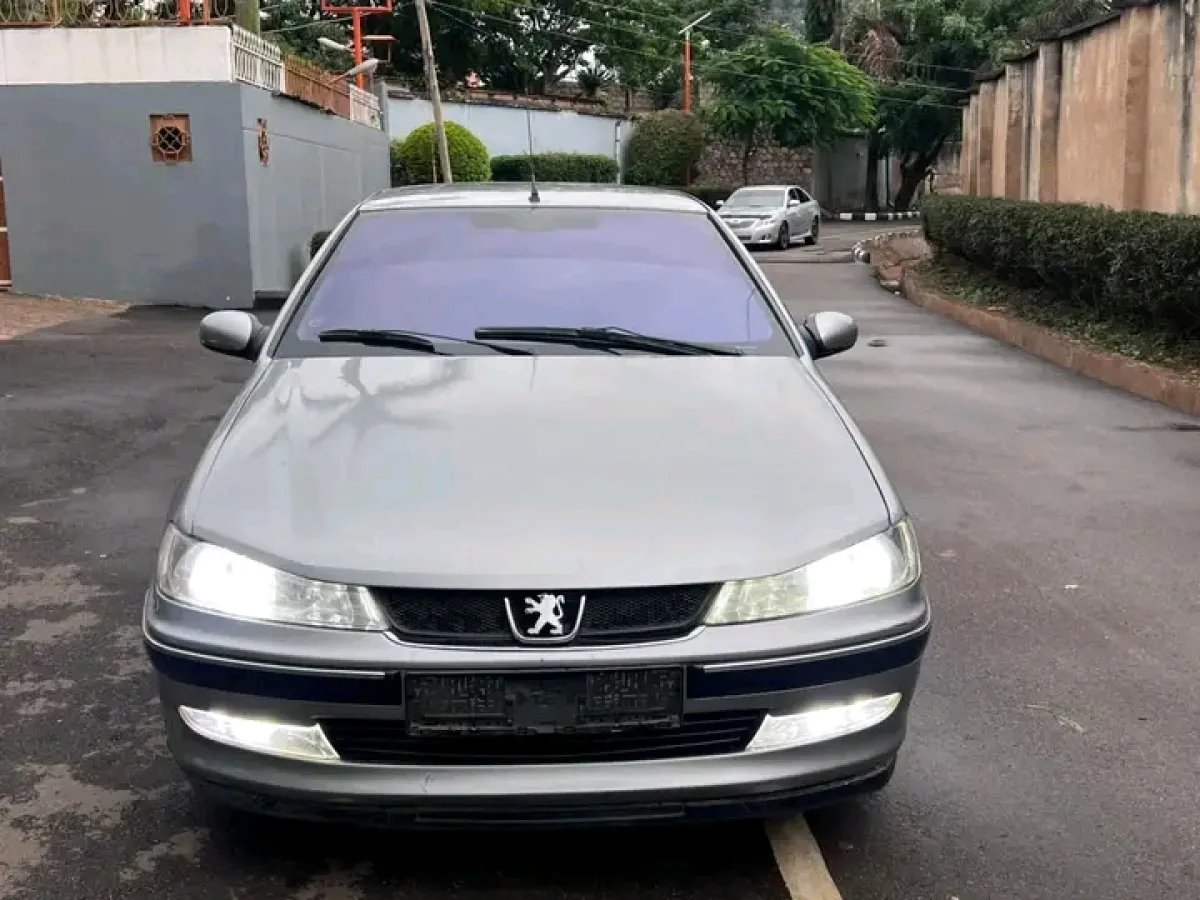 Peugeot 406 - Image 1