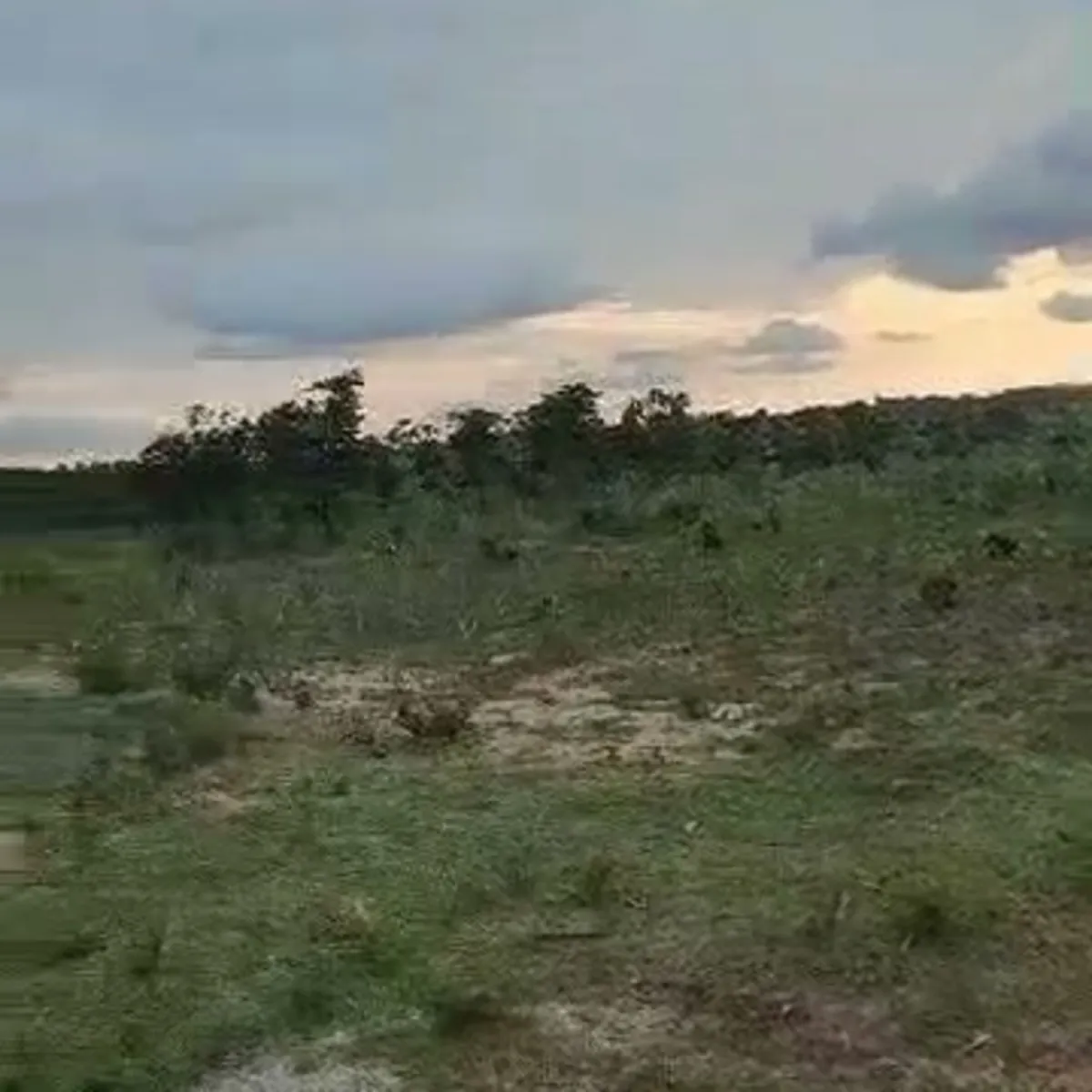 Land for sale (65Hct) idu - Image 2