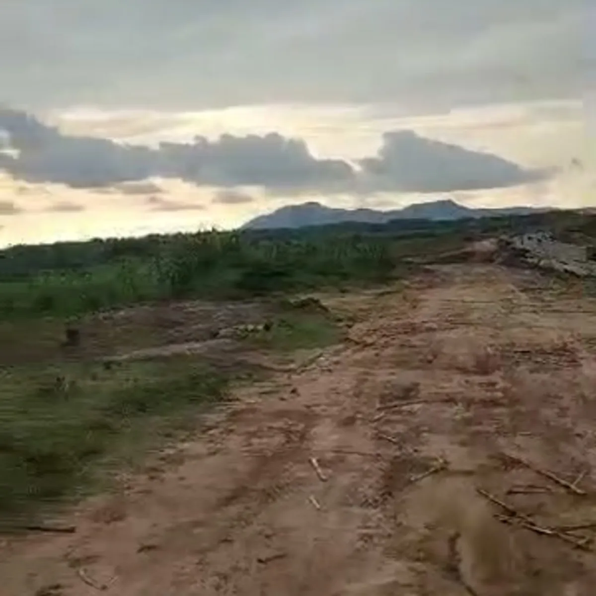 Land for sale (65Hct) idu - Image 3