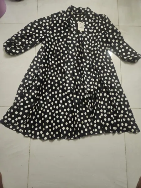 Zara polka dress